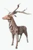  Product image 12 of the product “Standing Deer, the horns can be removed. About 120cm length and 140cm height . ”